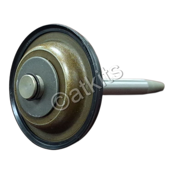 Piston /  Btr Dsi M11 /  Servo