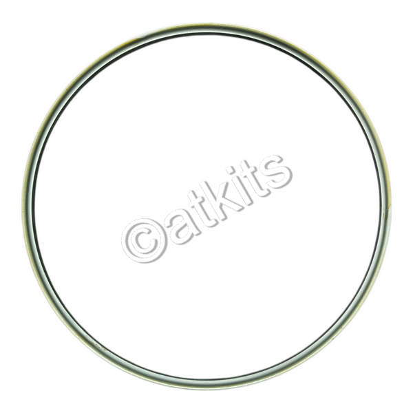 Molded "wedge Seal" /  Front Pump 4L60E /  4L65E L04-06