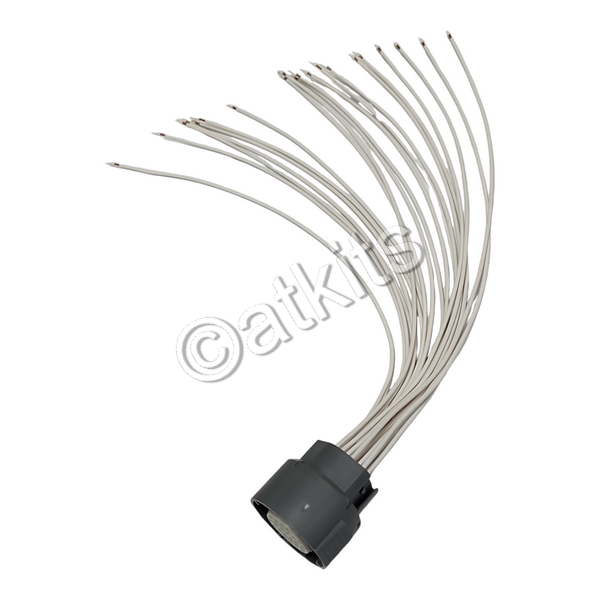External Wire Harness Gm 4T65E 97-2011