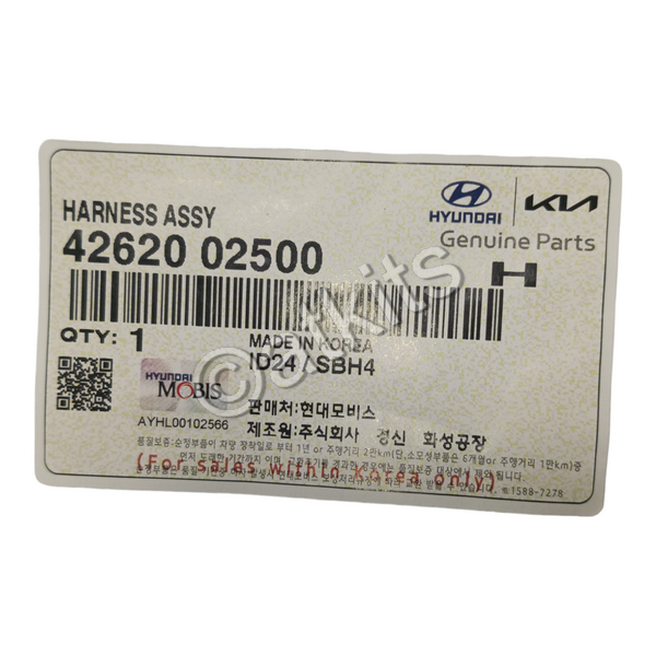 Wire Harness /  Hyundai KAPPA Cvt