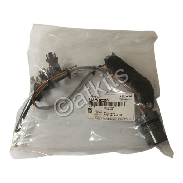 WIRE HARNESS / INTERNAL / HYUNDAI KAPPA (OEM# 48879-02200)