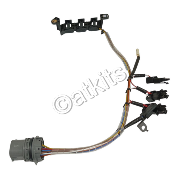 Wire Harness /  Internal /  Hyundai KAPPA (oem# 48879-02200)