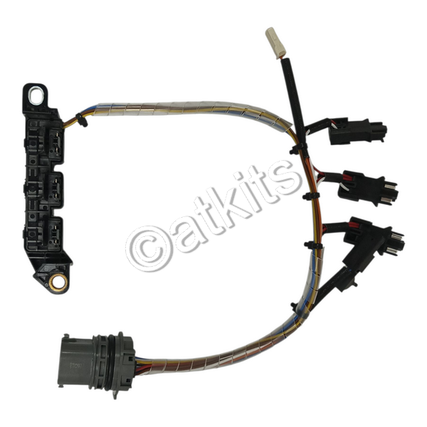 Wire Harness /  Internal /  Hyundai KAPPA (oem# 48879-02200)
