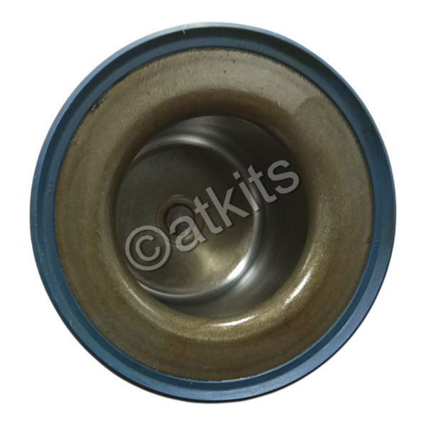 Piston /  Servo Low/reverse 5R55S /  5R55W (02-on)
