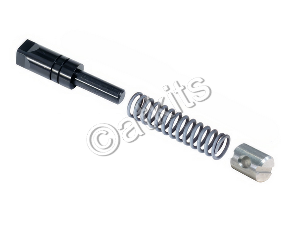 VALVE KIT / GM 4L60E / 6L65E / 4L70E / FORWARD AND REVERSE ABUSE VALVE KIT (CONTENTS: VALVE / PLUG / SPRING)