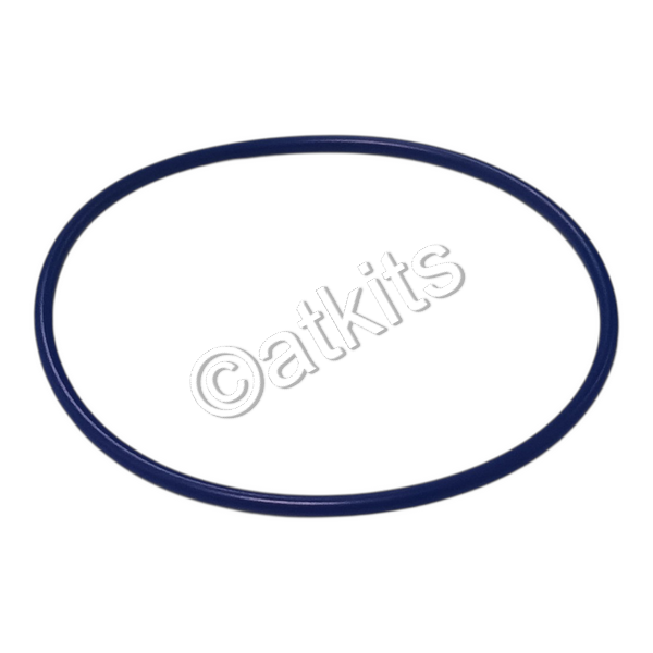 O-RING / OVERSIZED THM 298MM LU
