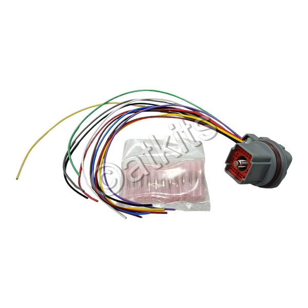 External Wire Harness Ford 5r55w/s